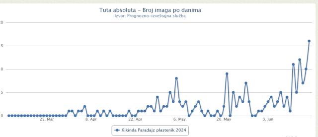 Tuta absoluta