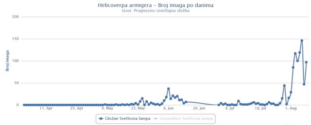 Dinamika leta pamukove sovice, punkt Gložan