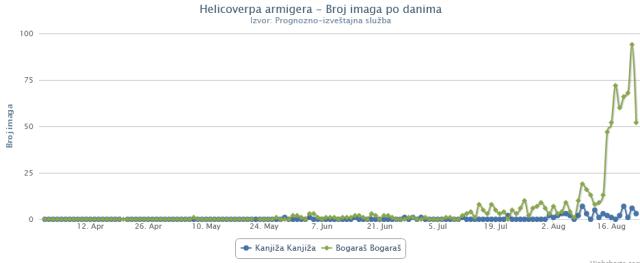 24.08.2021 Dinamika leta H. armigera